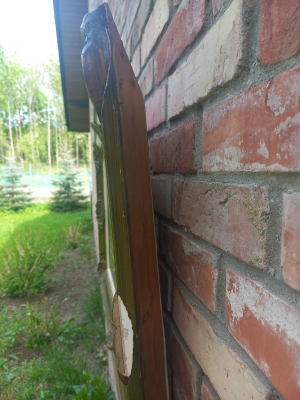NR 557